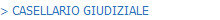 > CASELLARIO GIUDIZIALE